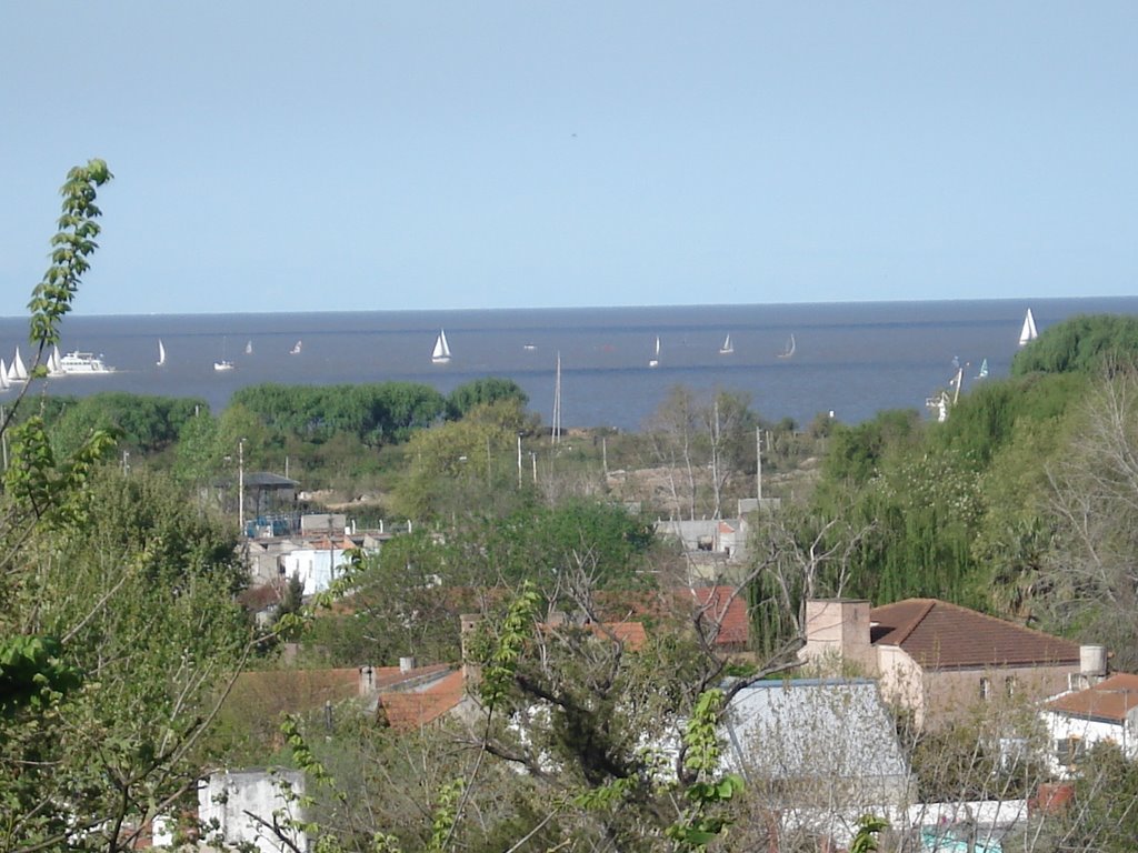 Rio de la Plata,vista desde paseo "El Tala"S.Isidro.- by carlos gambetta