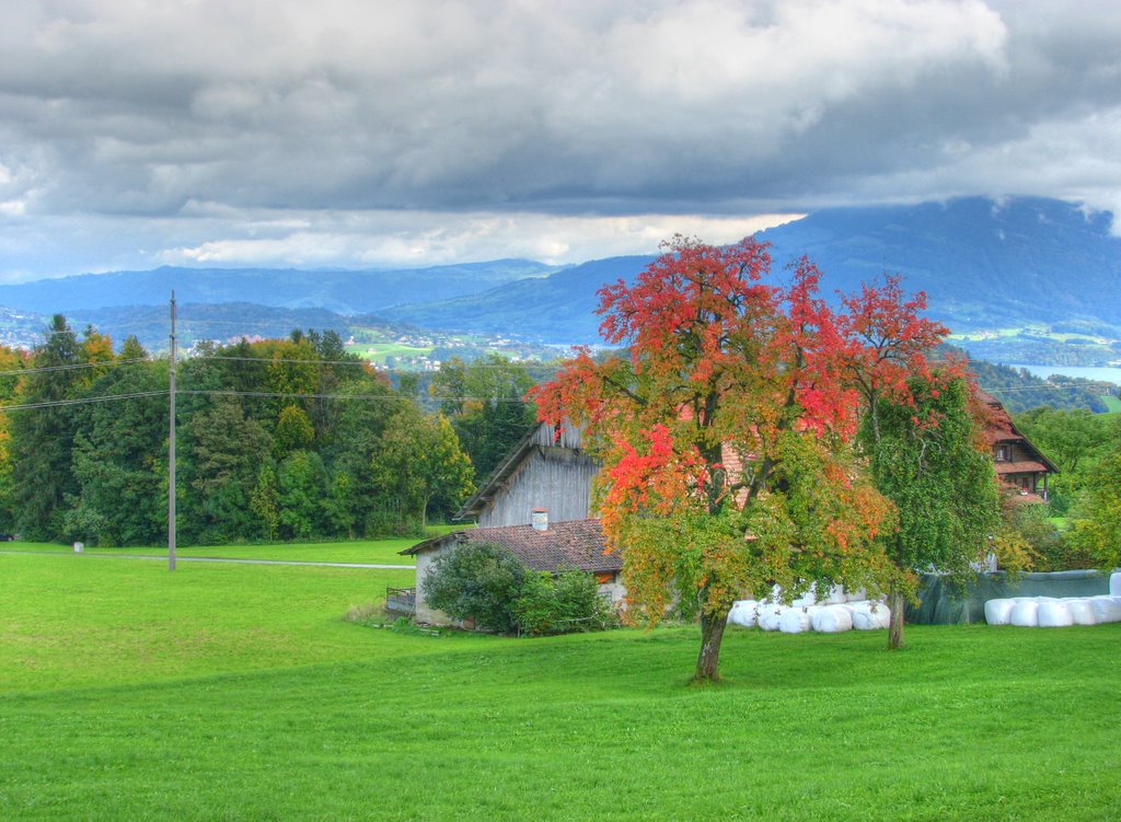 Hypersaturated farm and tree by Niek Bergboer