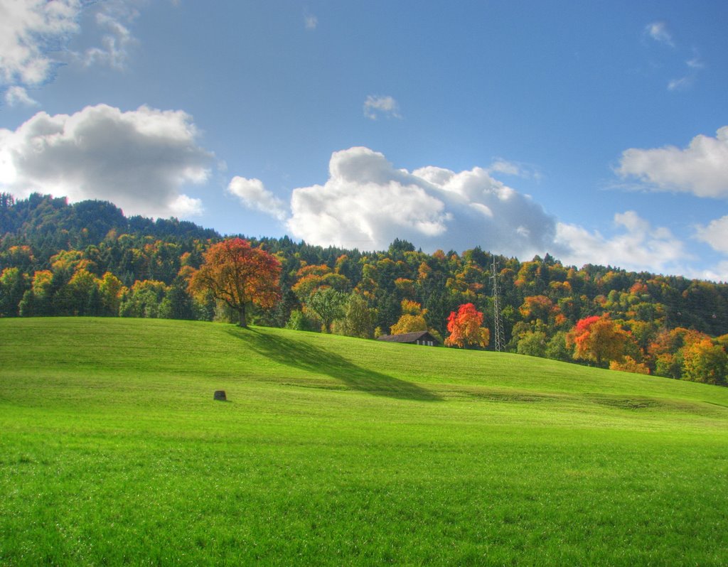 HDR hillside by Niek Bergboer