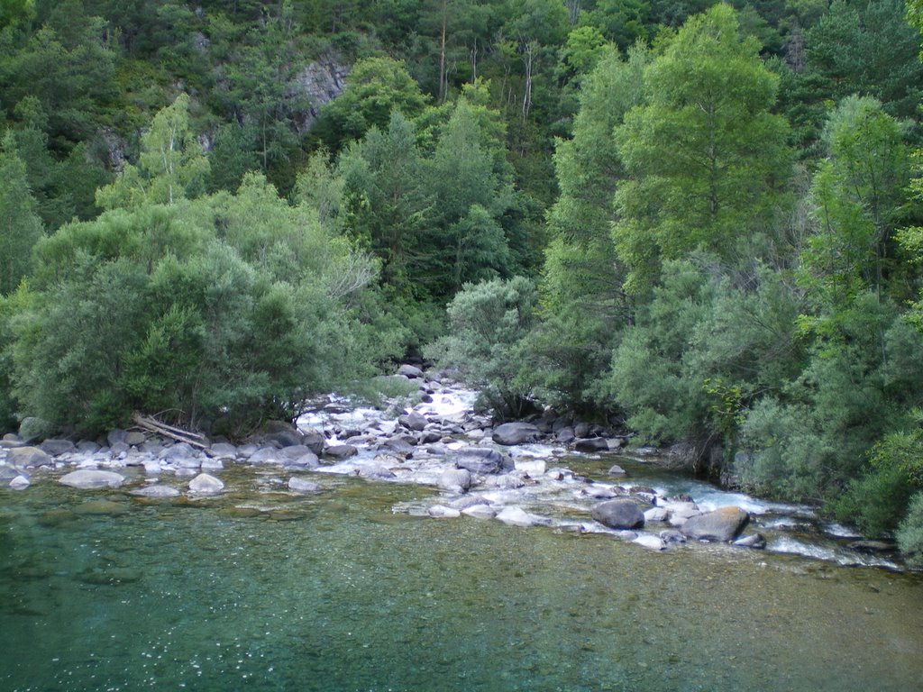 Unión del río Arazas con el río Ara by Tonio Castells