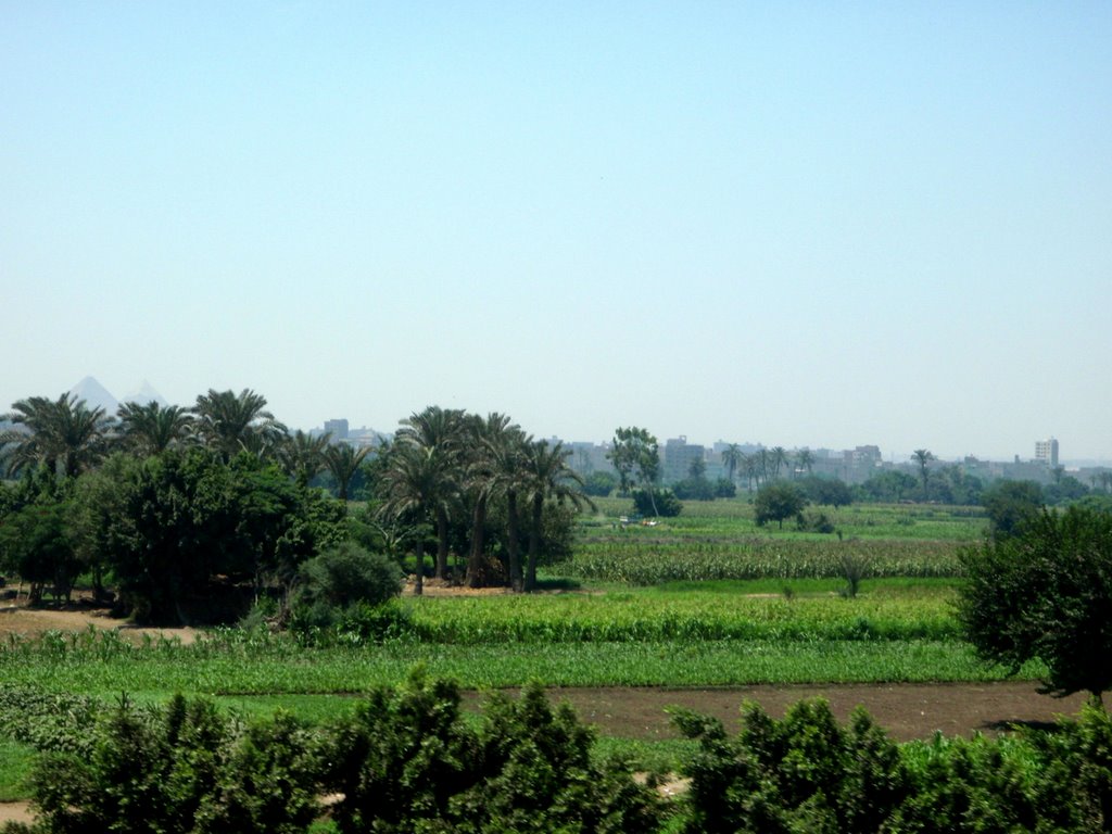 Life near river Nile by Ján Mesároš