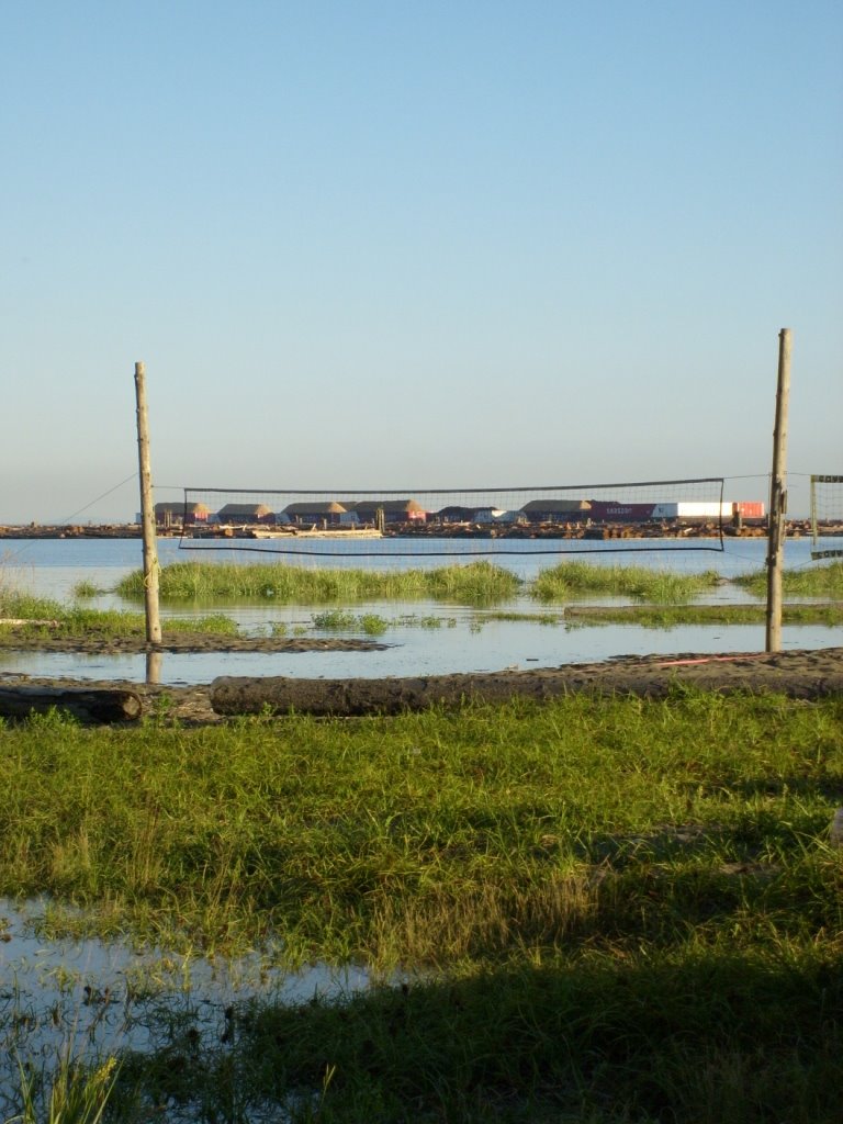 Vancouver: swamp volley by elmambo