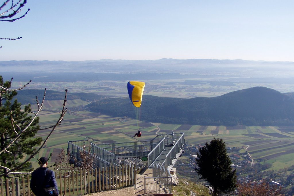 Paraglider nahe am Skywalk, Hohe Wand by RudiPo