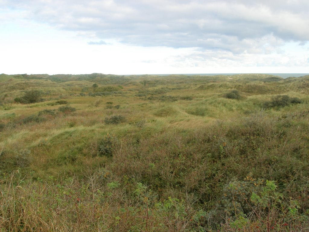 Tversted Dünenlandschaft by Stefan Schnitker