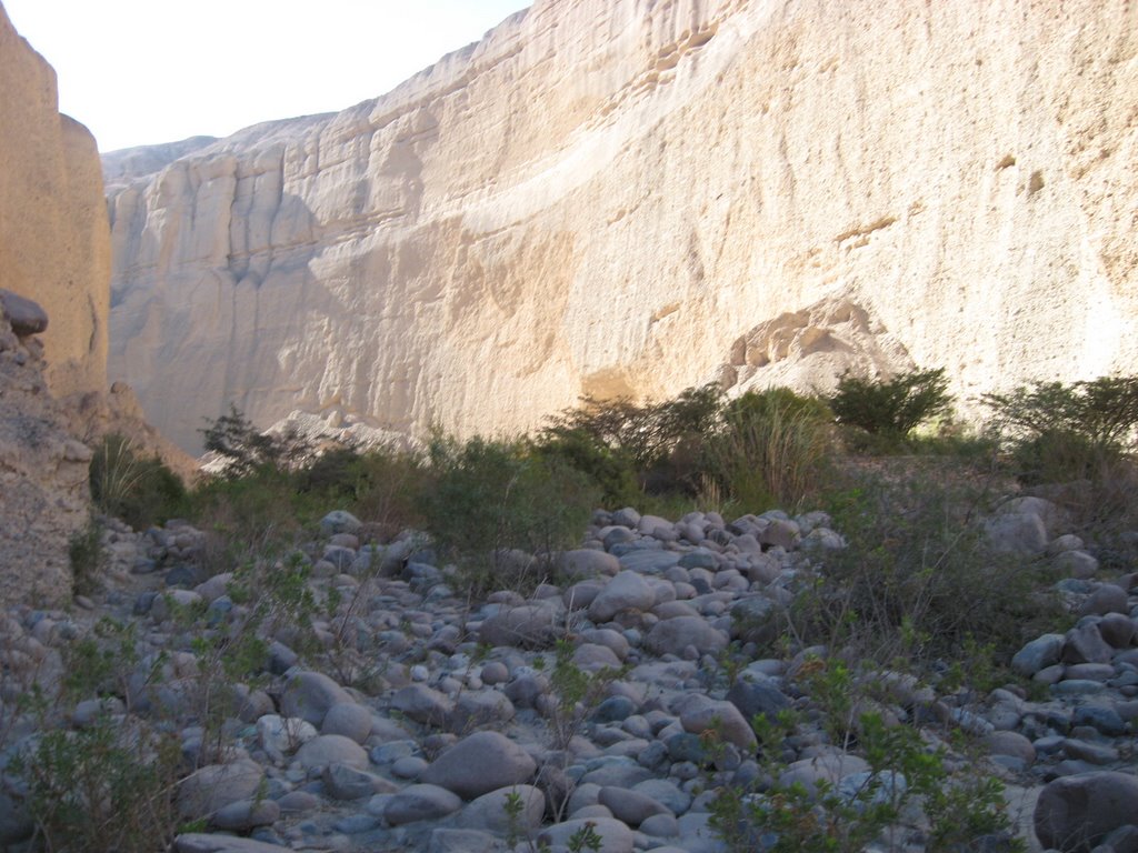 Espectacular cañón del río San José, Arica, Chile. by Luis Vidallagos