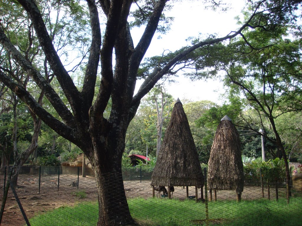 ZOOLOGICO DE CALI by carlos alberto arango