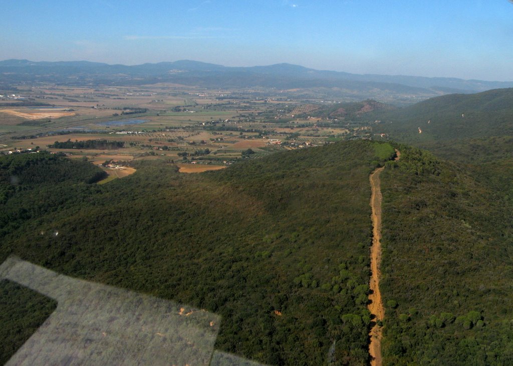 Boschi del Monte d'Alma by Claudio Pedrazzi