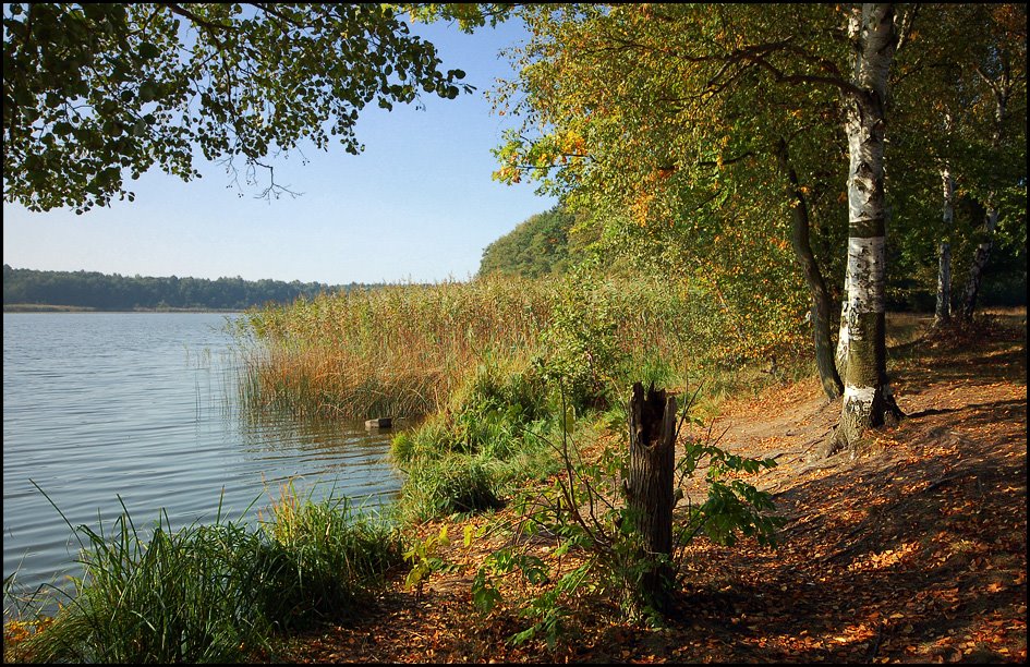 Wolzensee im herbstlichen Kleid by Hsvrs