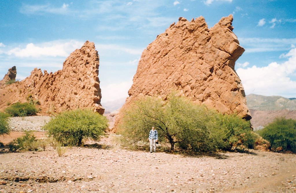 Hojas de Piedra by DavidNE