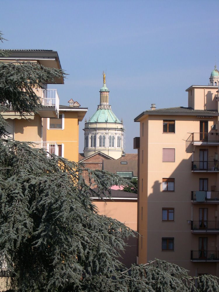 Magenta (MI)-Vista del Tiburio di San Martino by ©Luigi Petrazzoli