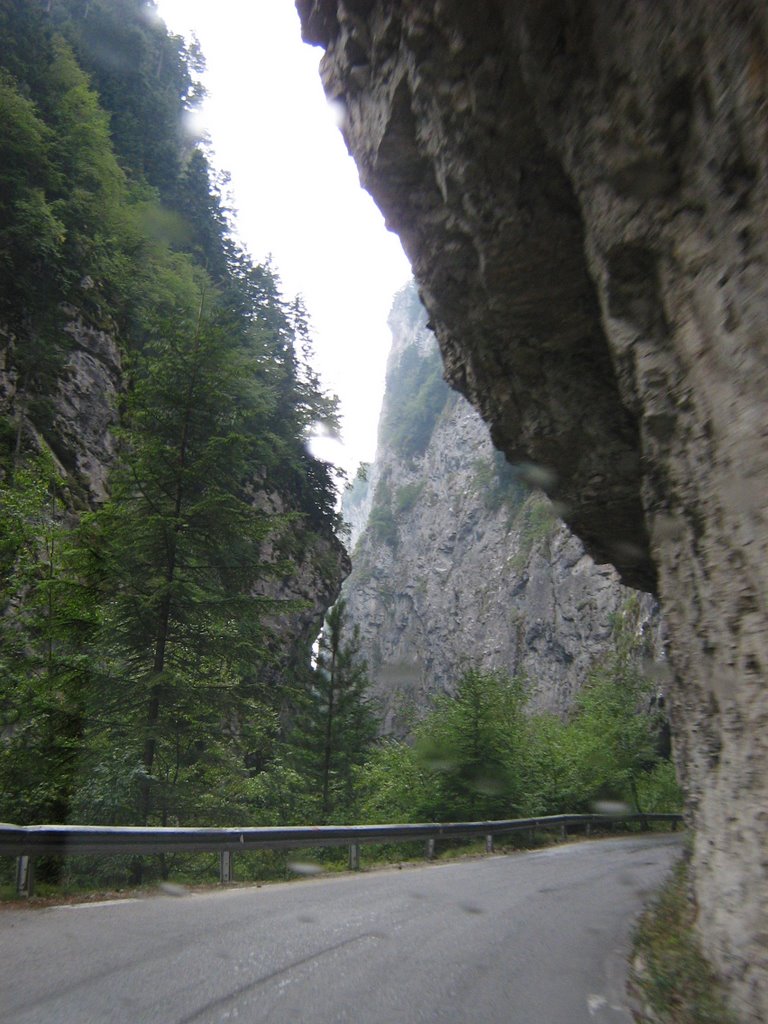 Trigrad Gorge, Bulgaria by Maria Nedyalkova