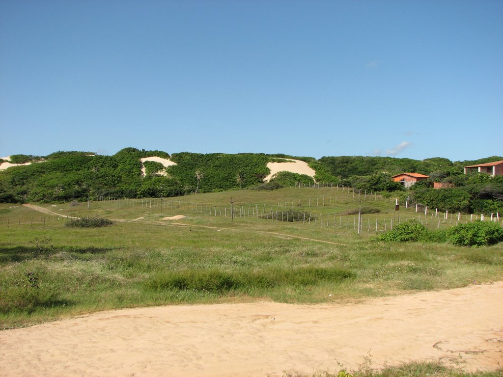 Sabiaguaba by Cezar Mario Rech