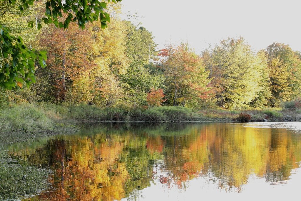 Bridgewater, N.S. - The Lahave River at Cookville on October 06, 2008. by jonfromnsca