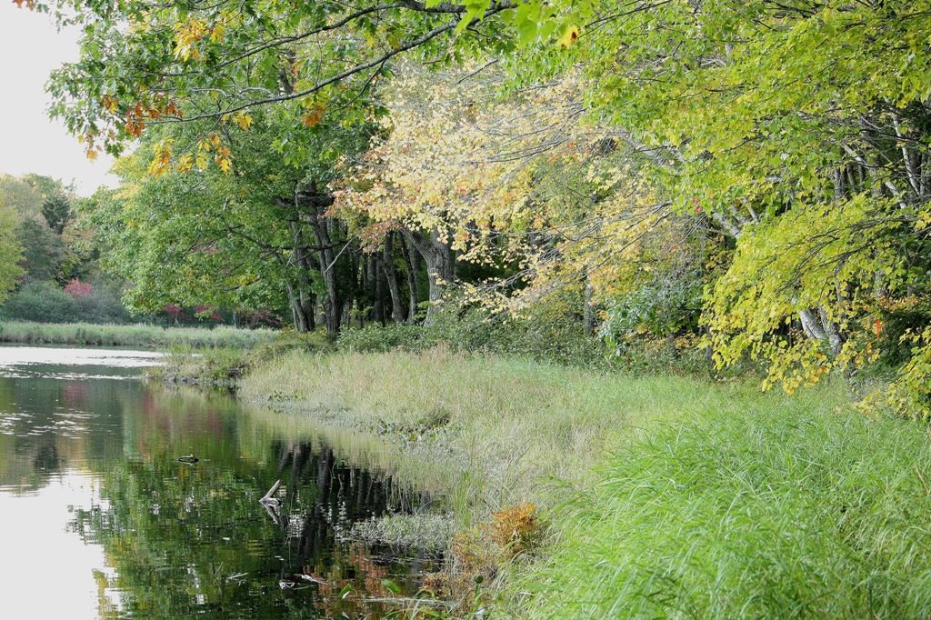 Bridgewater, N.S. - The Lahave River at Cookville on October 06, 2008. by jonfromnsca