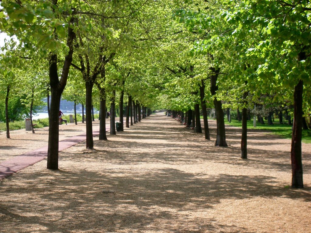 Budapest Margareteninsel Margitsziget by Lars Paege