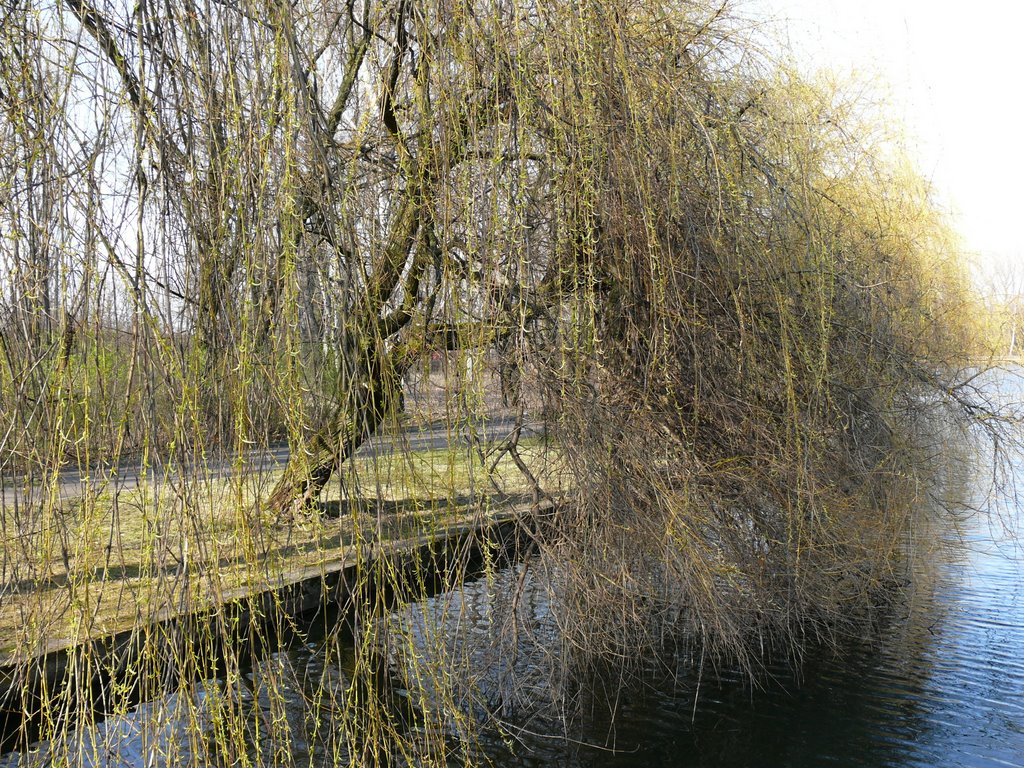 Dolina Górnika by trafok