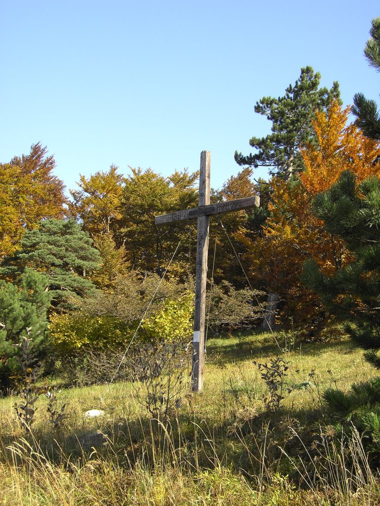 Kreuz am Kieneck (Waldmarkweg) by gt123456