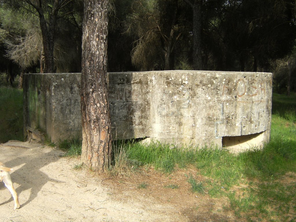 Bunker de la guerra civil en Navalcarbón 4 by nachetex