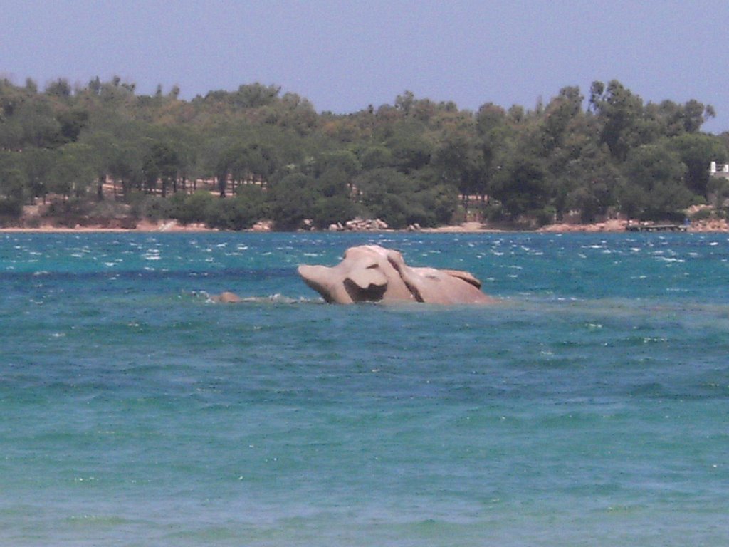 Italien, Sardinien, Auch Elefanten müssen baden... by Ralf Jankowski