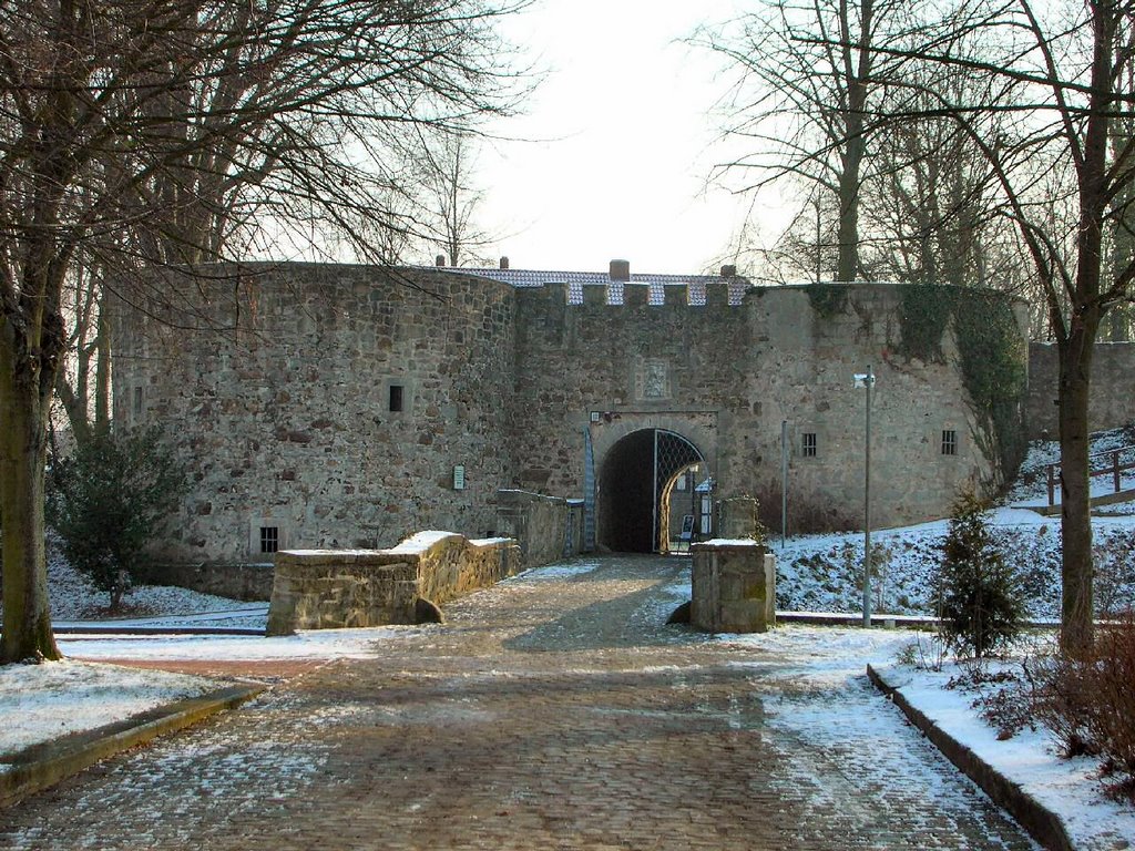 Die Burgruine in Coppenbrügge by Perry210174