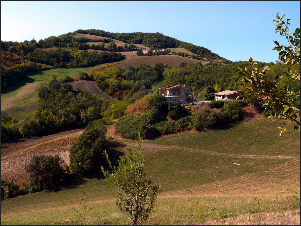 Monteventano (PC) - Autumn picture by ©Luigi Petrazzoli