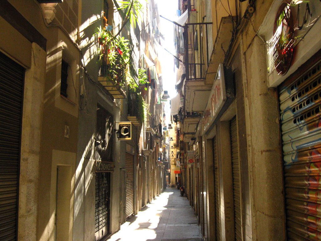 Carrer de l'Argenter by davideazn