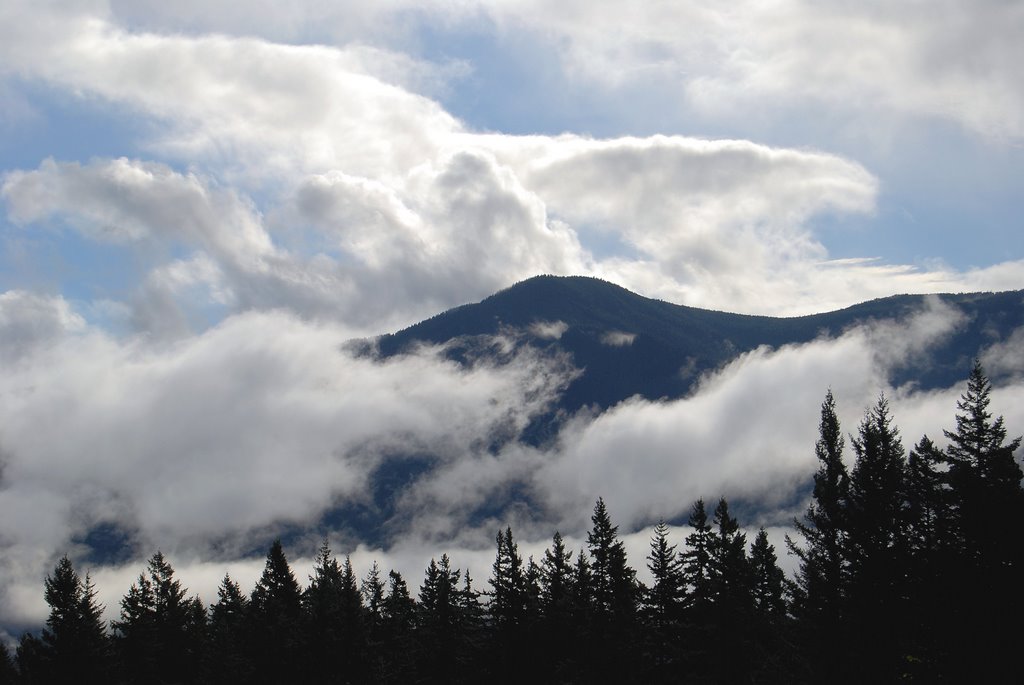 Views from Skamania Lodge by Adams Art