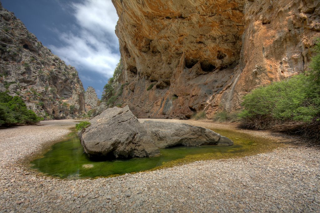 The Rock Pool by SteveMG