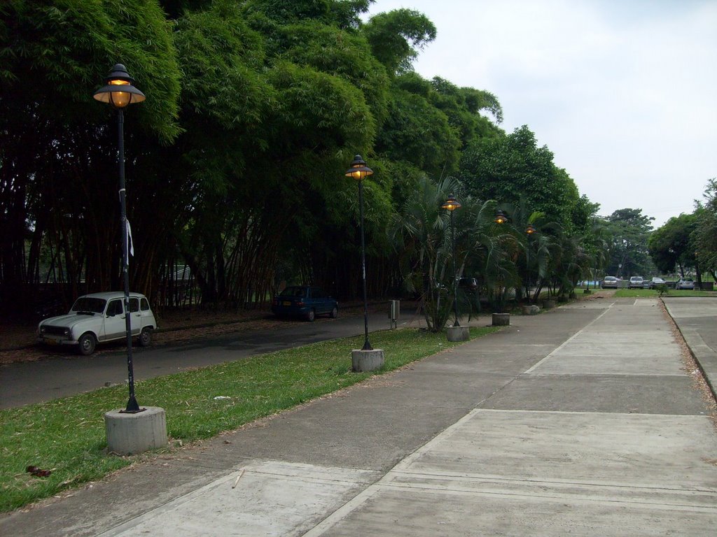 Universidad del Valle, Cali, Colombia by TrianglePoint