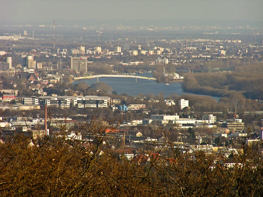 Schiersteiner Hafen vom Aussichtsturm by ernie-f