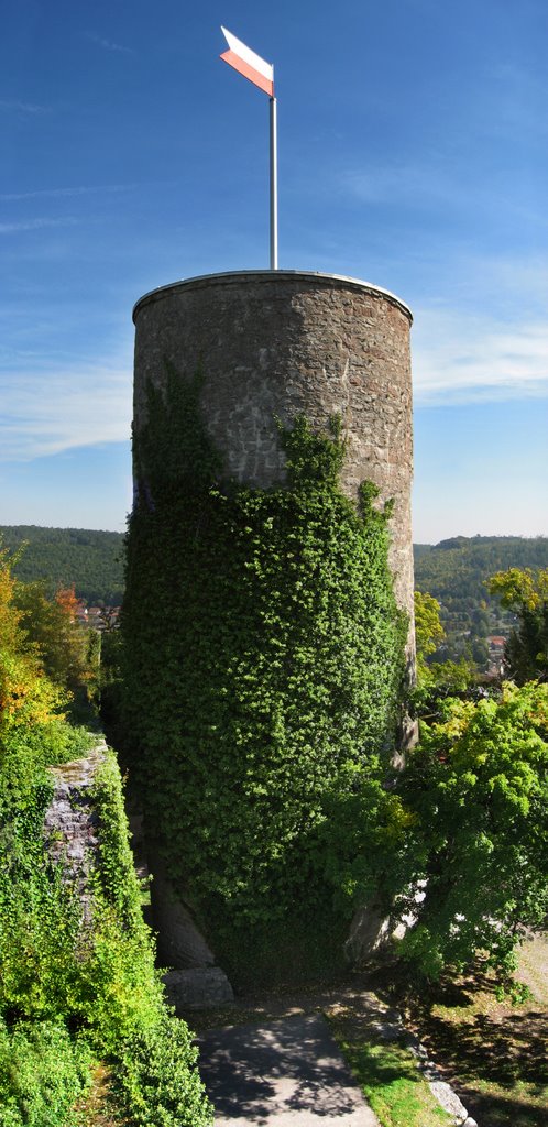 Turm - Burgruine Hohennagold by mellis doppelleben