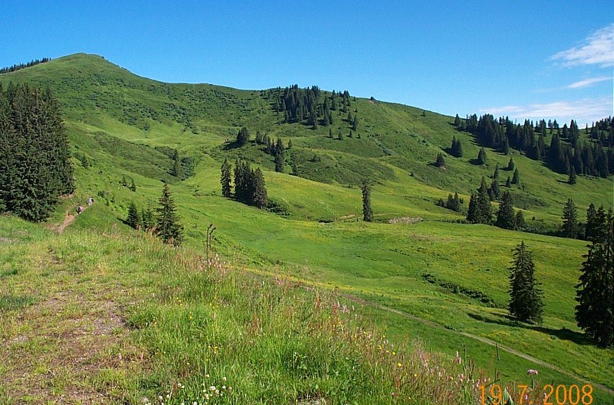 Riedberghorn in the summer, from the top of a ski lift, Grasgeheren by Anthony Belfrage