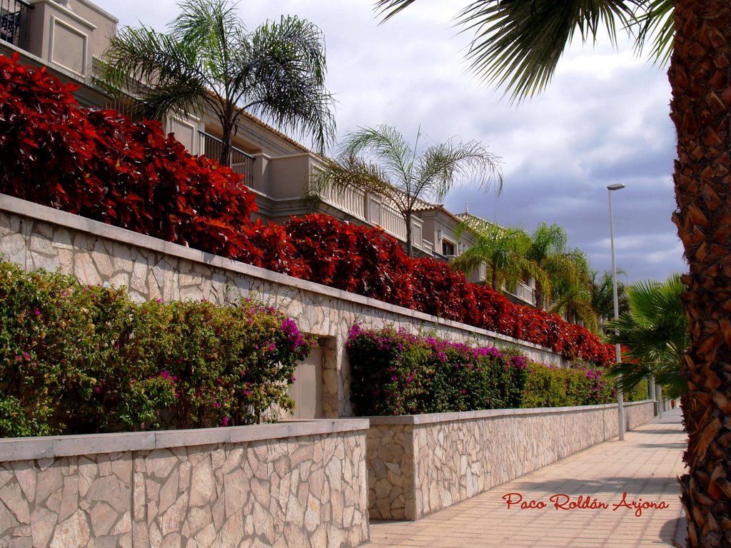 LOS CRISTIANOS - ARONA by Paco Roldán Arjona