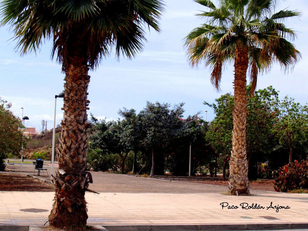 LOS CRISTIANOS - ARONA by Paco Roldán Arjona