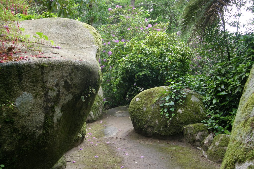 Rocks in Pena Park by trekker