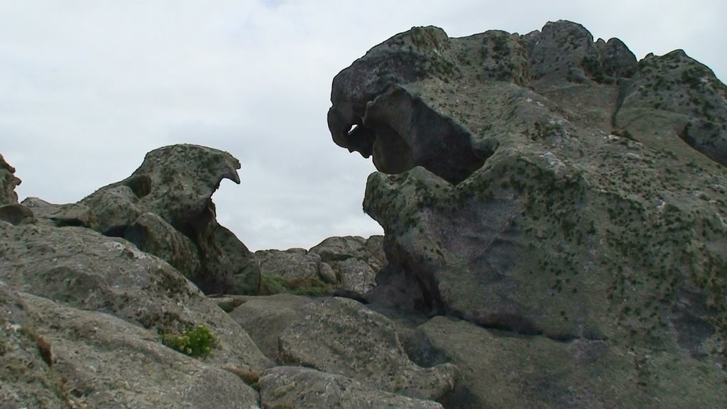 El gallo y el águila. Punta Nariga by J.E. de A.T.