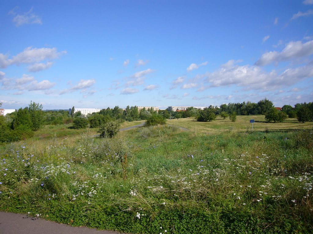 Halle Süd Pestalozzipark bzw. Südstadtpark (2007) by halleliebe