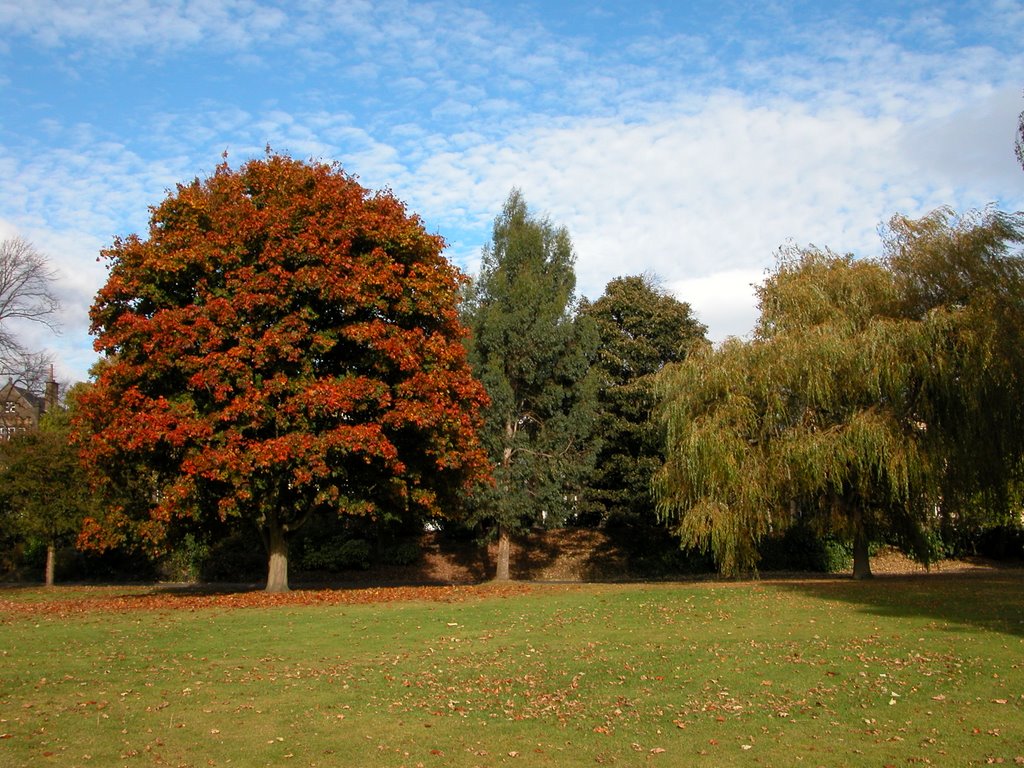 Autumns Coming by Simon Wardle