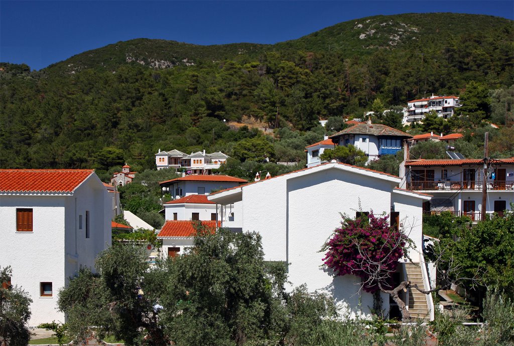 View from Hotel Sunrise Village at Skopelos Town by Finn Lyngesen