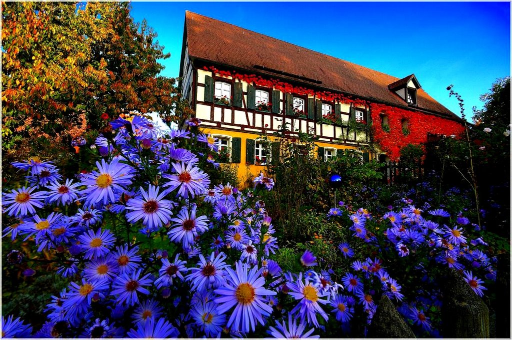 Osternohe Herbststimmung by Rudolf H.