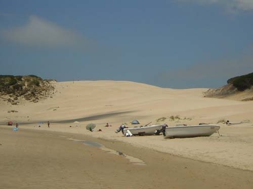 Duna de la playa de Bolonia by x7y7