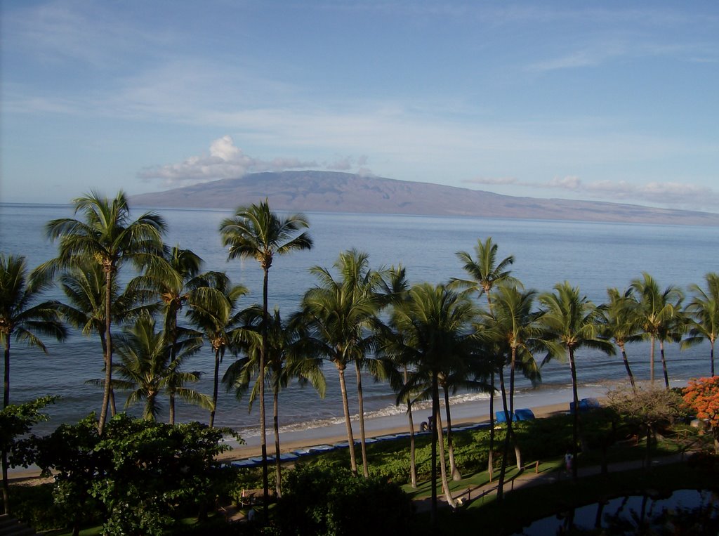 Hyatt maui by bethubert