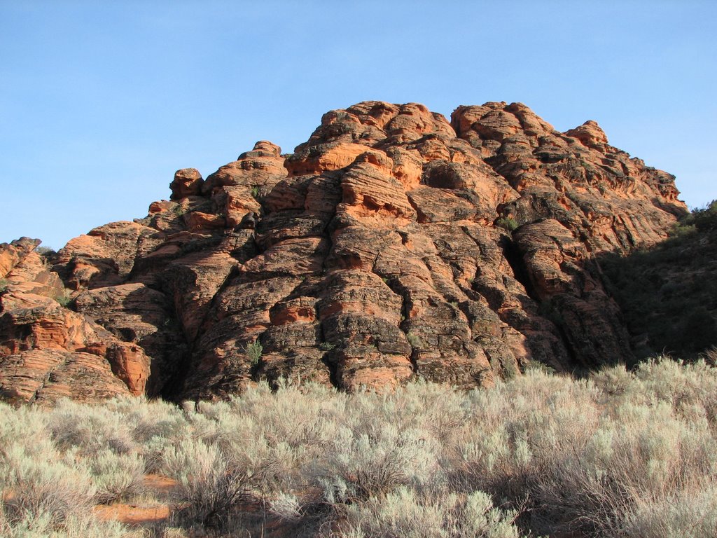 Snow Canyon Rock by Gaylen Walker