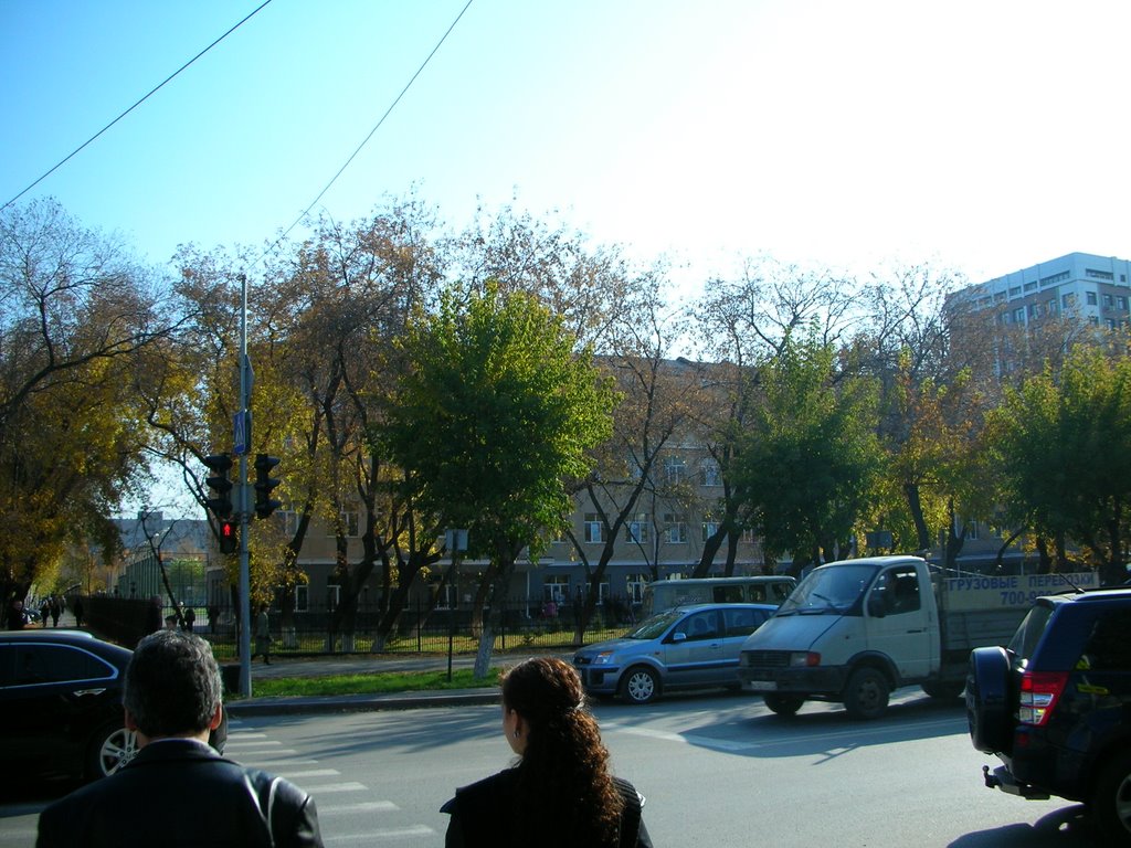 SE Street View. School. October 2008 by Romualdas_arm