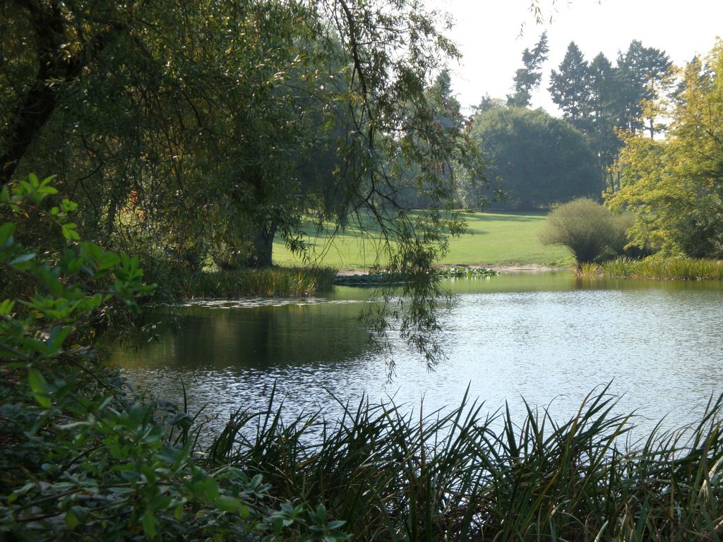 Am Fischtalteich Berlin-Zehlendorf by raîkú