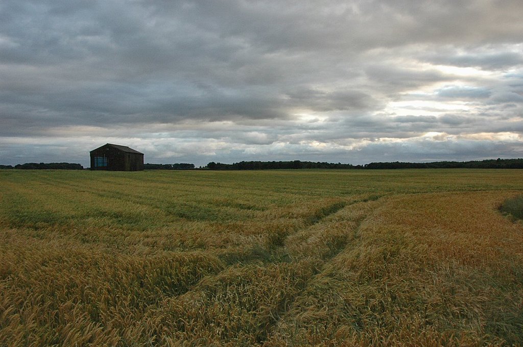 Barn by David Humphreys