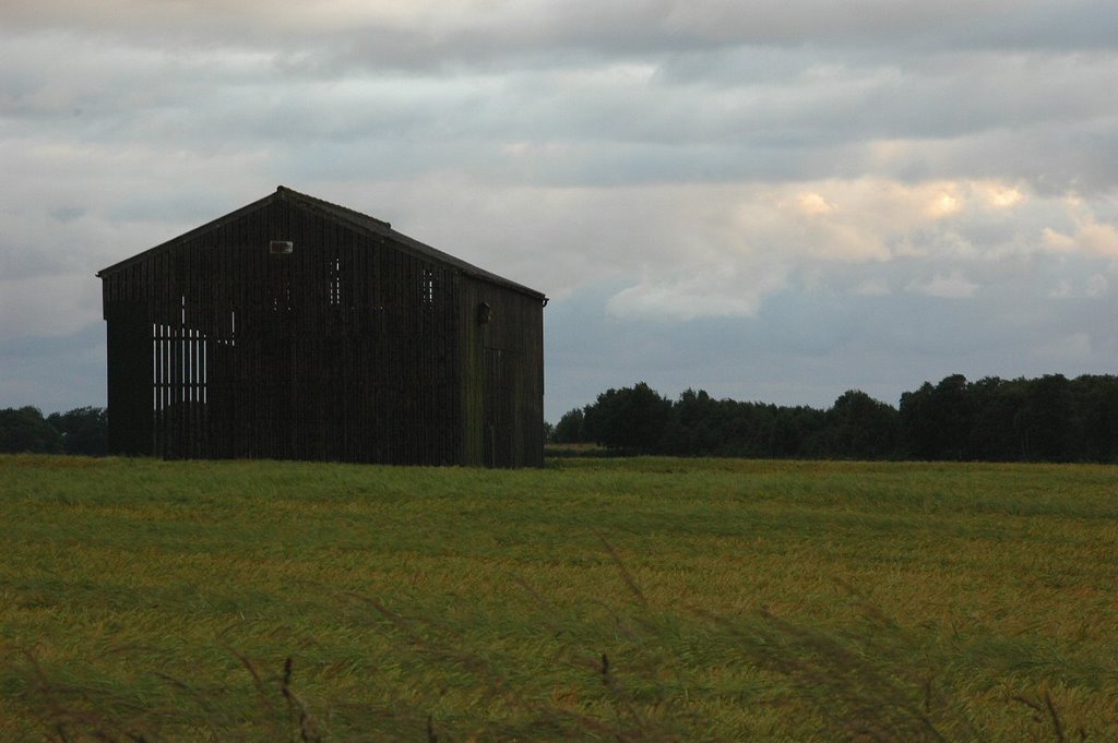 Barn by David Humphreys