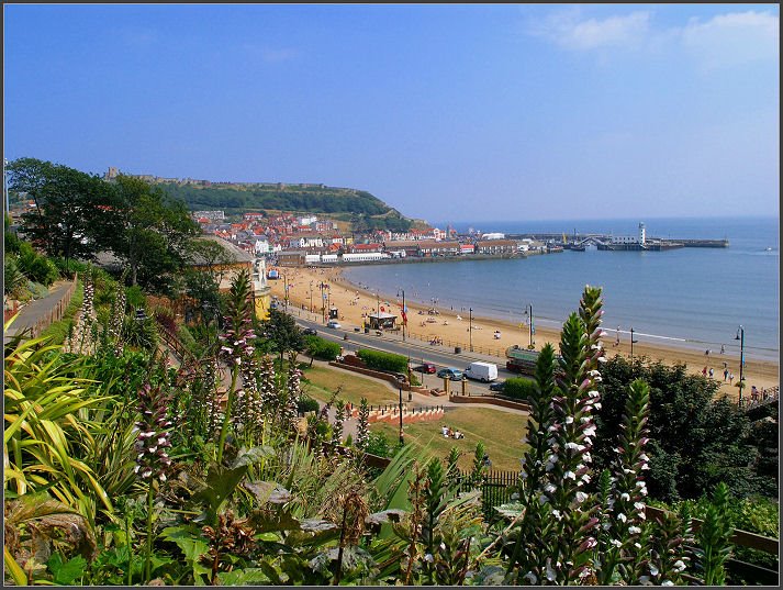 Scarborough by terry9