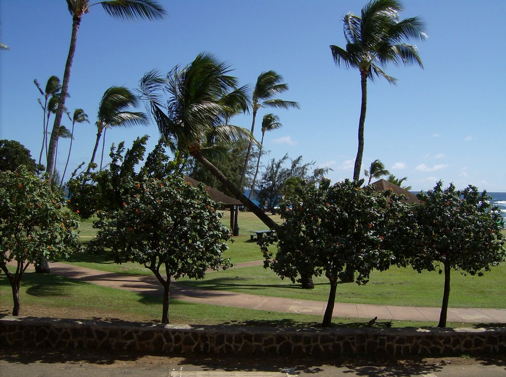 Poi Pu Beach from Brennecke's Broiler‎ by bethubert