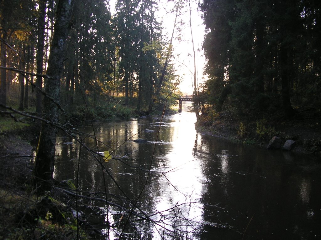 Vantaa river [10-2008] by pan-opticon